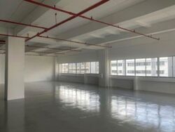 Perfect One (D13), Factory #541625841
